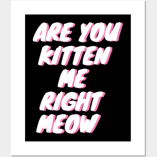 Are You Kitten Me Right Meow Posters and Art